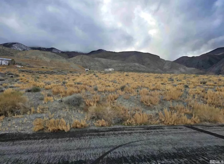 350 Walker, Walker Lake, Nevada 89415, ,Land,Residential,Walker,240007031