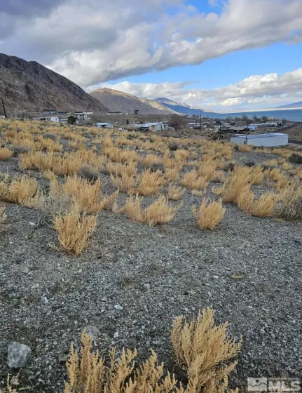 350 Walker, Walker Lake, Nevada 89415, ,Land,Residential,Walker,240007031