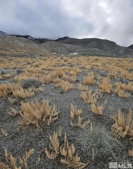 350 Walker, Walker Lake, Nevada 89415, ,Land,Residential,Walker,240007031