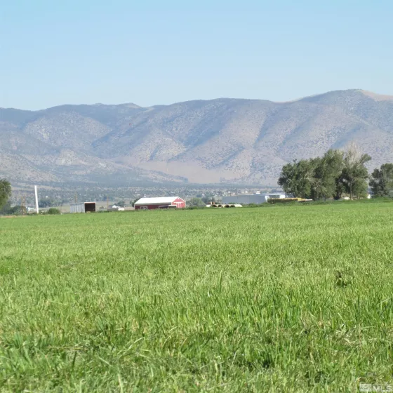 2677 Highway 208, Smith, Nevada 89444, ,Land,Residential,Highway 208,240008062