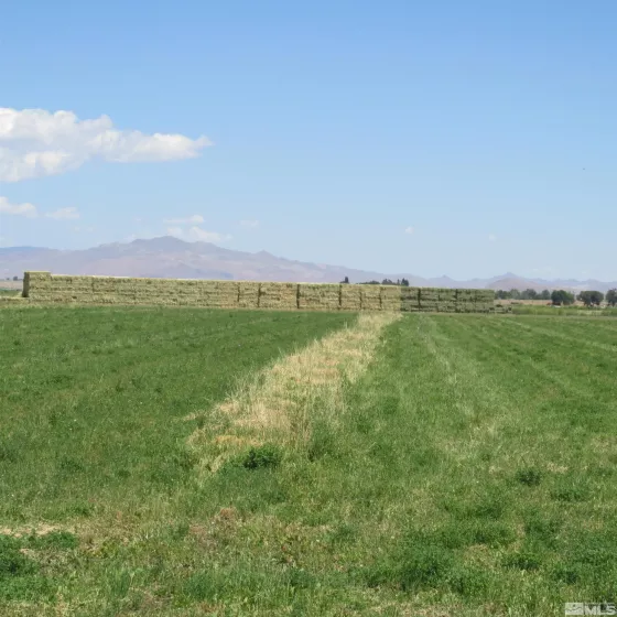 2677 Highway 208, Smith, Nevada 89444, ,Land,Residential,Highway 208,240008062