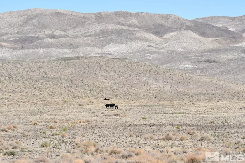 06 Hwy 95A, Fernley, Nevada 89408, ,Land,Residential,Hwy 95A,240012337