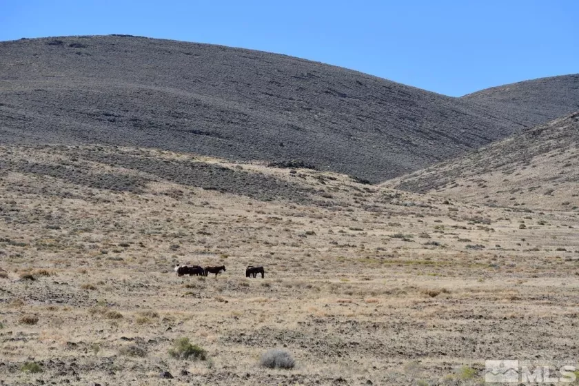 06 Hwy 95A, Fernley, Nevada 89408, ,Land,Residential,Hwy 95A,240012337