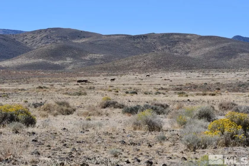 06 Hwy 95A, Fernley, Nevada 89408, ,Land,Residential,Hwy 95A,240012337
