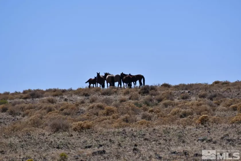 06 Hwy 95A, Fernley, Nevada 89408, ,Land,Residential,Hwy 95A,240012337