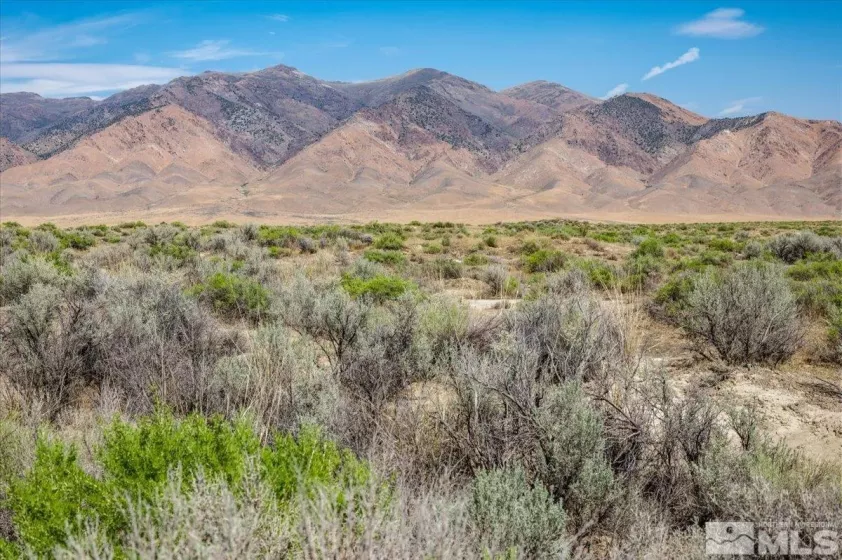 TBD Old Victory, Lovelock, Nevada 89419, ,Land,Residential,Old Victory,240010449