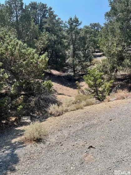 2070 Alpine, Virginia City, Nevada 89511, ,Land,Residential,Alpine,240009870