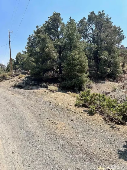 2070 Alpine, Virginia City, Nevada 89511, ,Land,Residential,Alpine,240009870