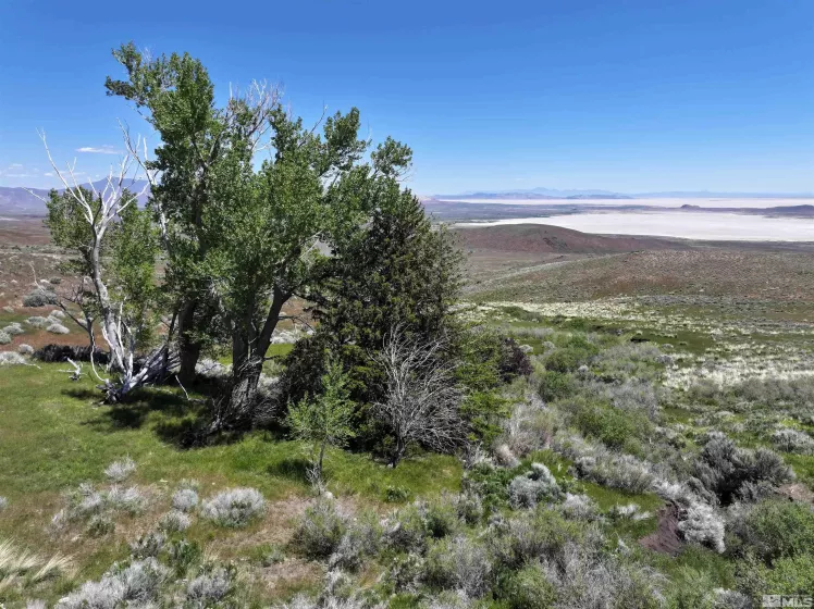 000 Secret Springs, Gerlach, Nevada 89412, ,Land,Residential,Secret Springs,240008879