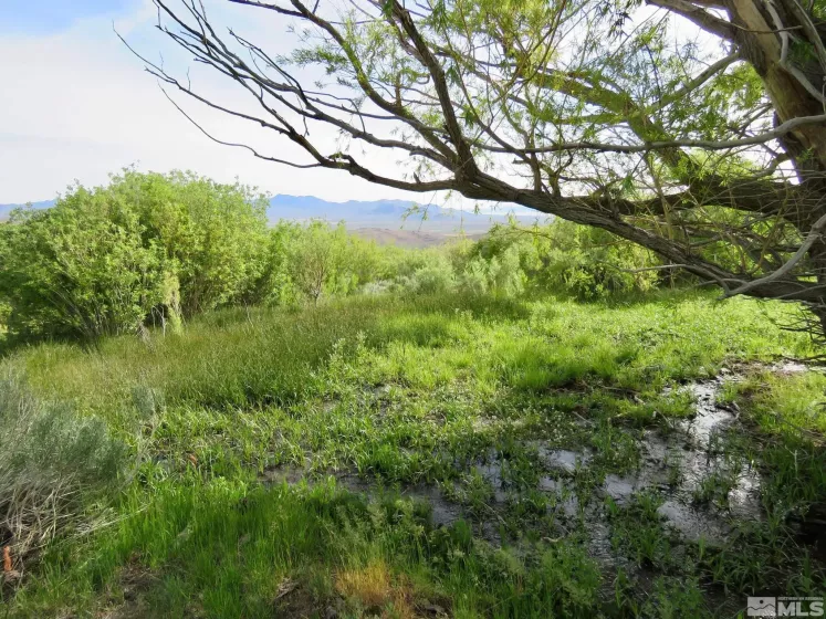 000 Secret Springs, Gerlach, Nevada 89412, ,Land,Residential,Secret Springs,240008879