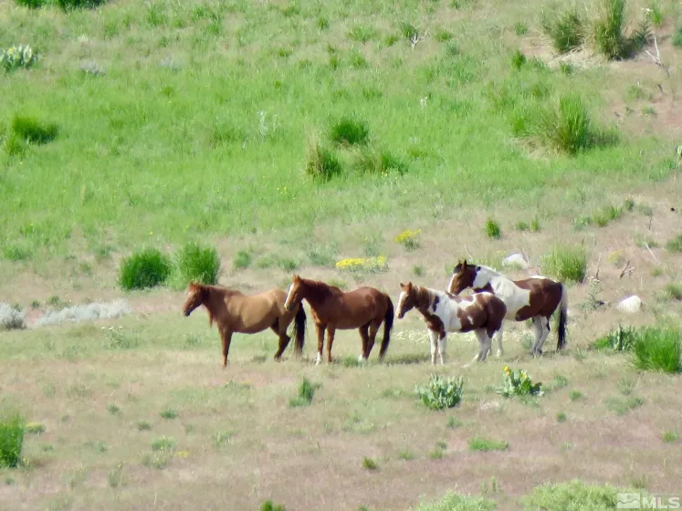 000 Secret Springs, Gerlach, Nevada 89412, ,Land,Residential,Secret Springs,240008879