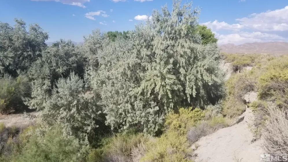 200 Raymond, Lovelock, Nevada 89419, ,Land,Residential,Raymond,240011902