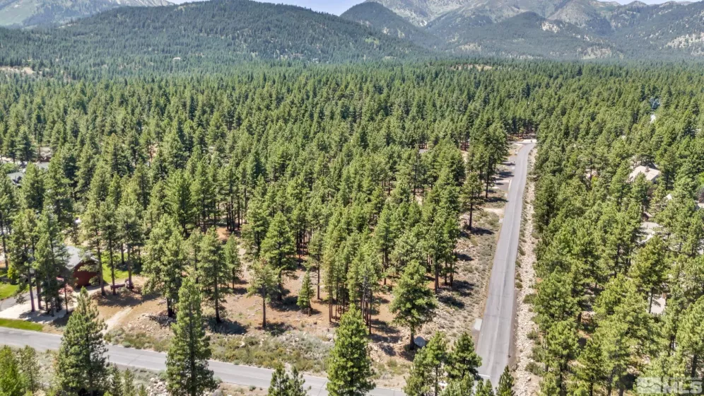 16485 Bonnie, Reno, Nevada 89511, ,Land,Residential,Bonnie,240008791