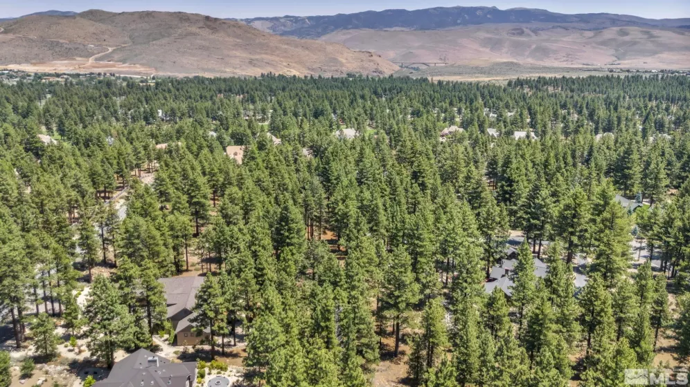 16485 Bonnie, Reno, Nevada 89511, ,Land,Residential,Bonnie,240008791