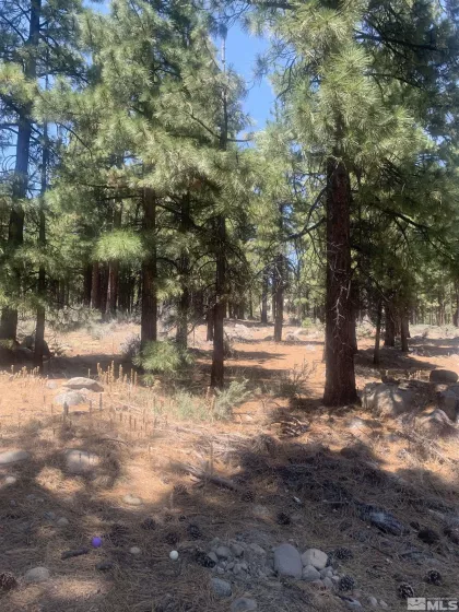16485 Bonnie, Reno, Nevada 89511, ,Land,Residential,Bonnie,240008791