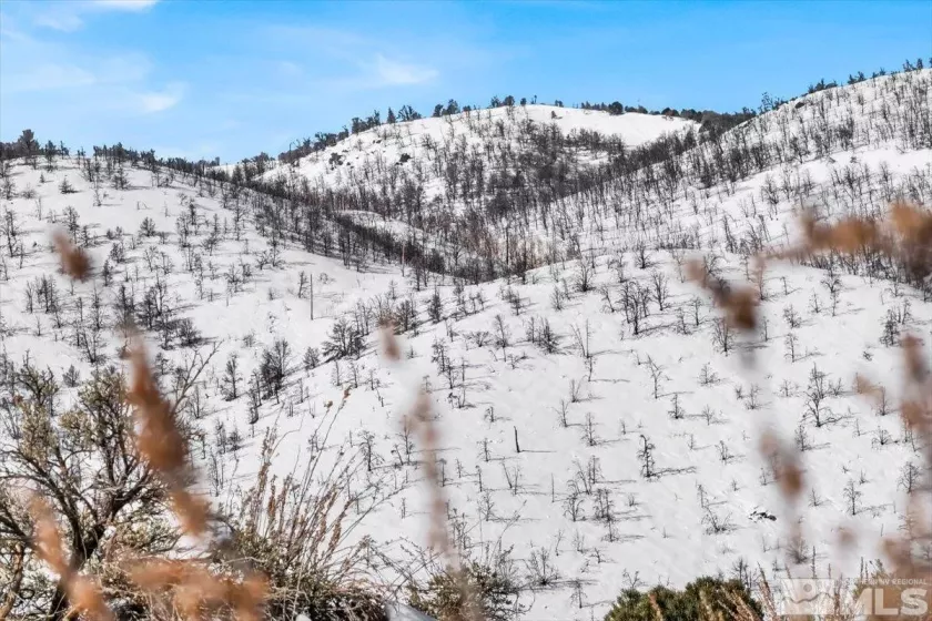 1534 Bolton, Gardnerville, Nevada 89410, ,Land,Residential,Bolton,240002477