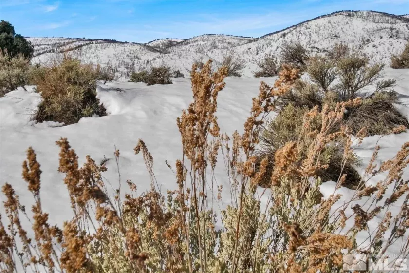 1534 Bolton, Gardnerville, Nevada 89410, ,Land,Residential,Bolton,240002477