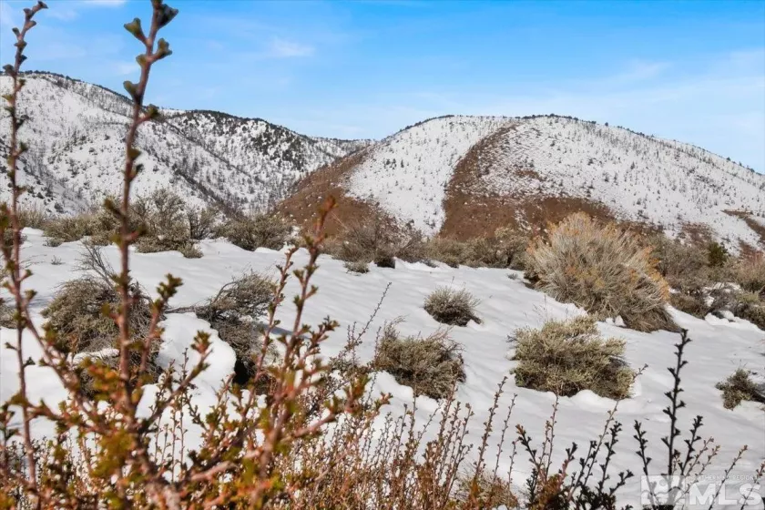 1534 Bolton, Gardnerville, Nevada 89410, ,Land,Residential,Bolton,240002477