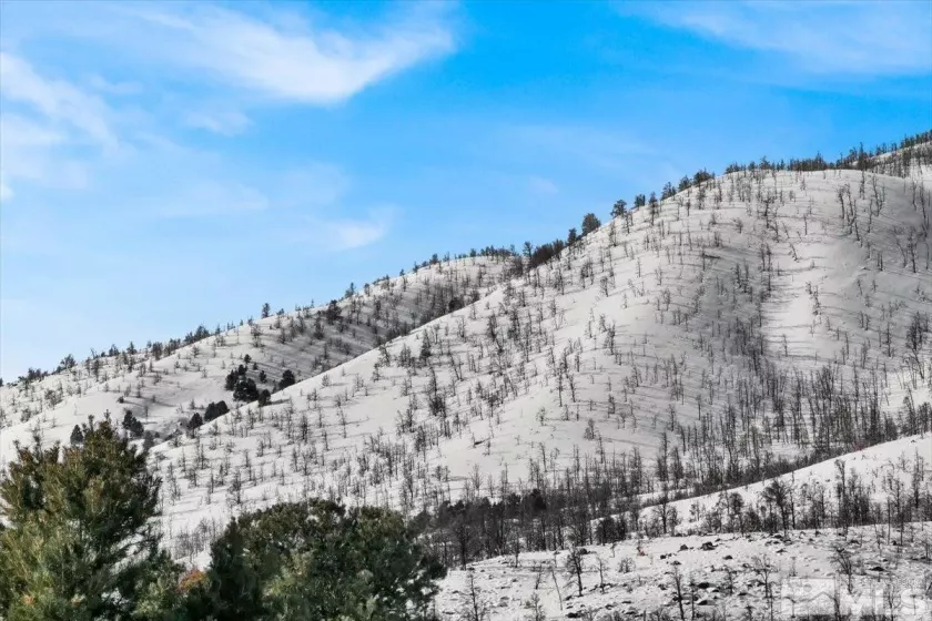 1534 Bolton, Gardnerville, Nevada 89410, ,Land,Residential,Bolton,240002477