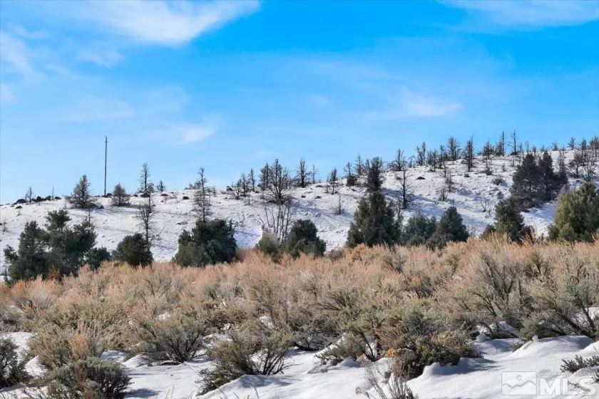 1534 Bolton, Gardnerville, Nevada 89410, ,Land,Residential,Bolton,240002477