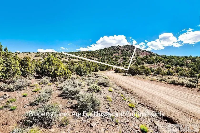 000 Microwave, Reno, Nevada 89510, ,Land,Residential,Microwave,240005661