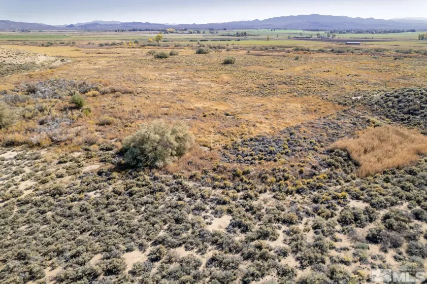 10 Walters, Smith Valley, Nevada 89444, ,Land,Residential,Walters,230012423