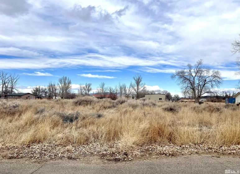 21 Cherry, Yerington, Nevada 89447, ,Land,Residential,Cherry,240002525