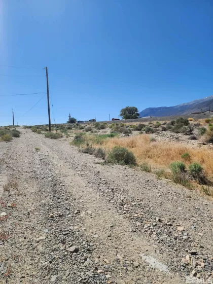 800 Hwy 95, Walker Lake, Nevada 89415, ,Land,Residential,Hwy 95,240007019