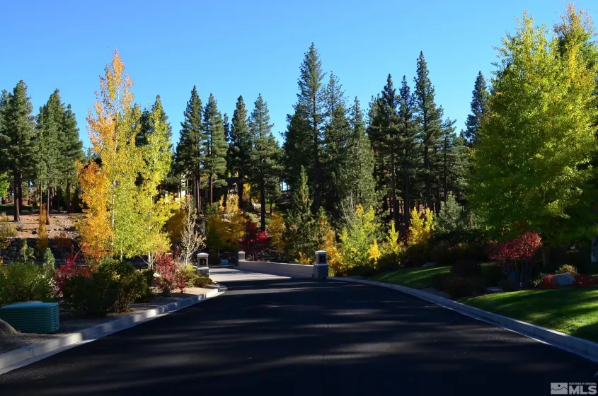 178 Nottingham Ct, Reno, Nevada 89511, ,Land,Residential,Nottingham Ct,240003139