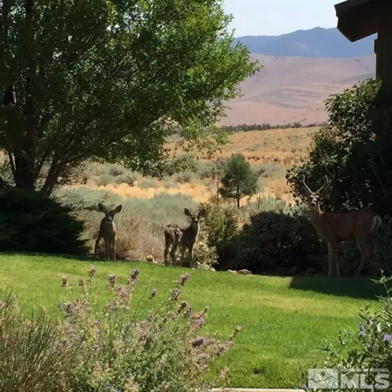 178 Nottingham Ct, Reno, Nevada 89511, ,Land,Residential,Nottingham Ct,240003139