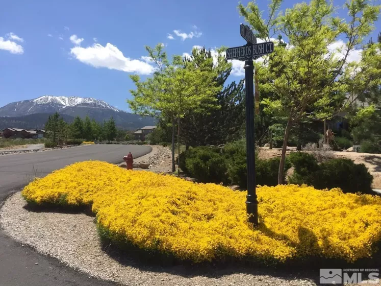 178 Nottingham Ct, Reno, Nevada 89511, ,Land,Residential,Nottingham Ct,240003139