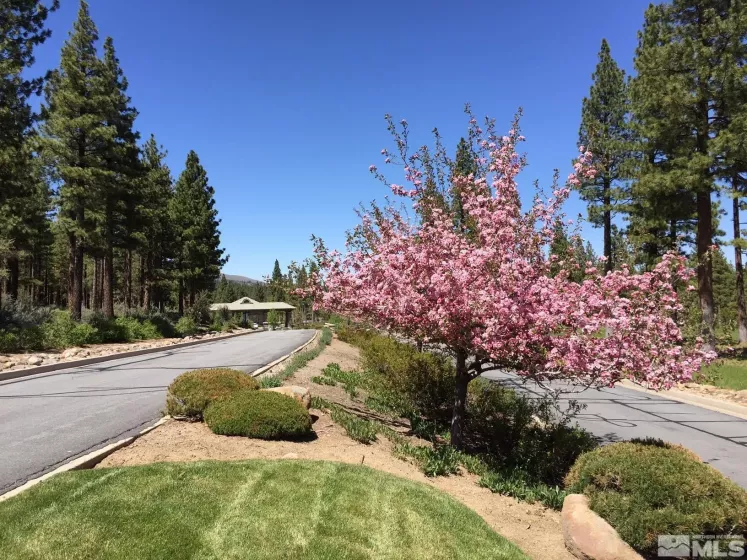 178 Nottingham Ct, Reno, Nevada 89511, ,Land,Residential,Nottingham Ct,240003139
