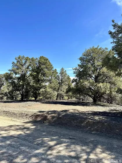 1551 Bonanza, Virginia City, Nevada 89429, ,Land,Residential,Bonanza,240004474