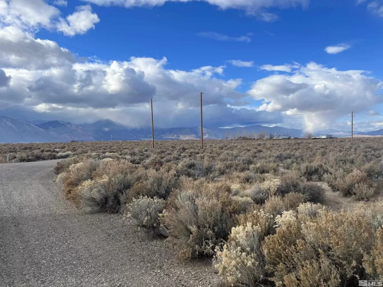 62 Acciari, Smith, Nevada 89430, ,Land,Residential,Acciari,230013586
