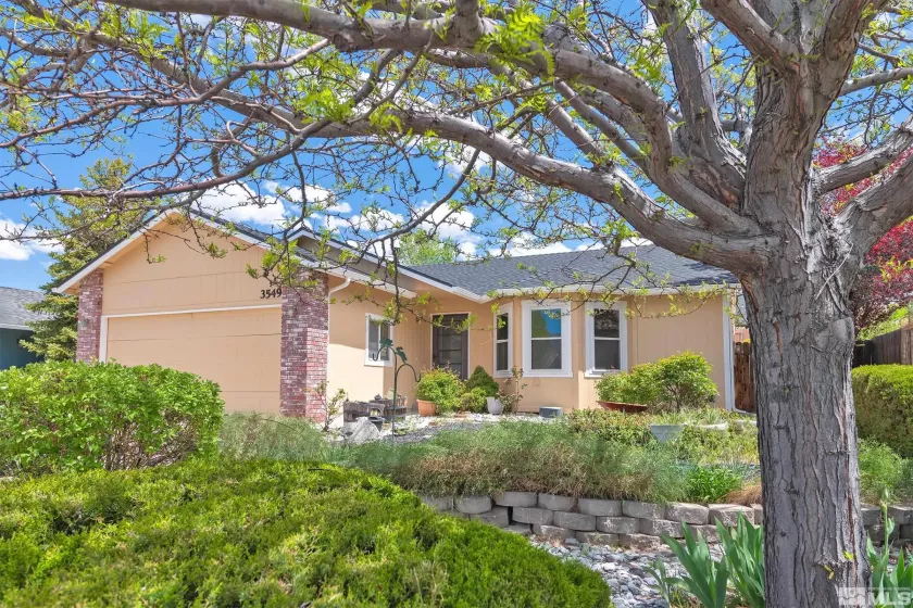 3549 Shadow, Carson City, Nevada 89705, 3 Bedrooms Bedrooms, ,2 BathroomsBathrooms,Residential,Residential,Shadow,250005970