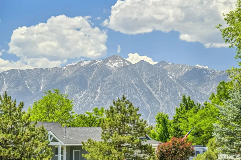 996 Farrier, Gardnerville, Nevada 89410, 6 Bedrooms Bedrooms, ,3 BathroomsBathrooms,Residential,Residential,Farrier,250004043