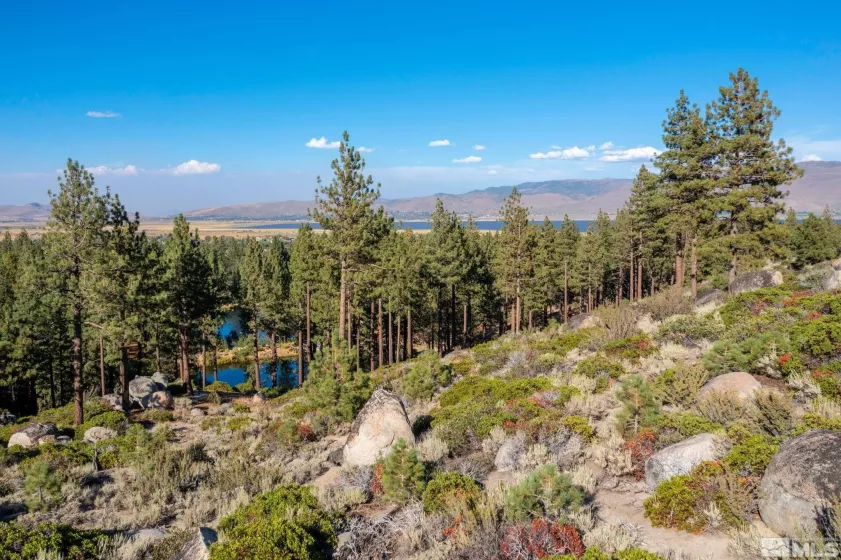 00 Franktown, Washoe Valley, Nevada 89704, ,Land,Residential,Franktown,250005983