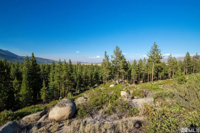 00 Franktown, Washoe Valley, Nevada 89704, ,Land,Residential,Franktown,250005983