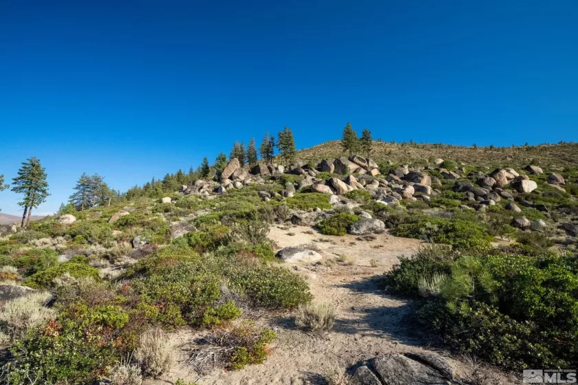 00 Franktown, Washoe Valley, Nevada 89704, ,Land,Residential,Franktown,250005983