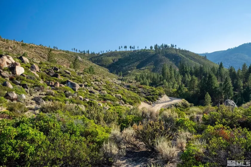 00 Franktown, Washoe Valley, Nevada 89704, ,Land,Residential,Franktown,250005983
