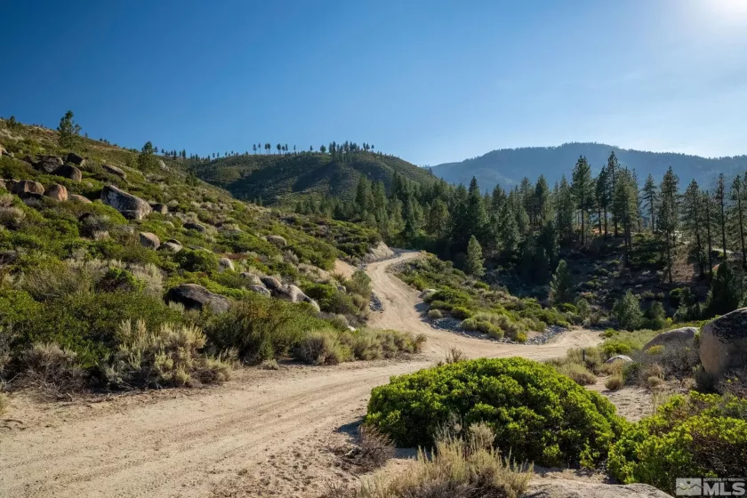 00 Franktown, Washoe Valley, Nevada 89704, ,Land,Residential,Franktown,250005983