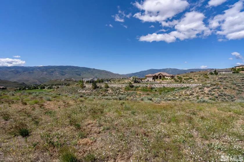 2450 Painted River, Reno, Nevada 89523, ,Land,Residential,Painted River,250006000