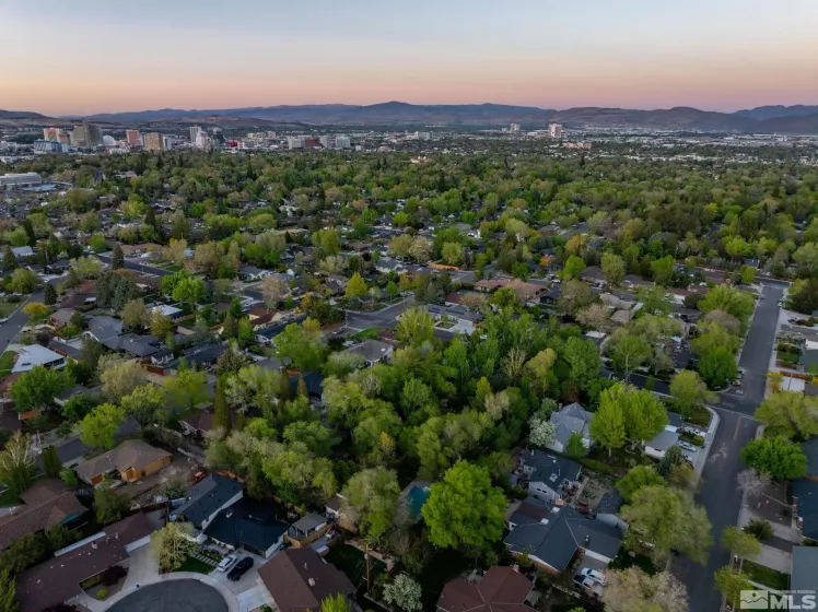 1550 Mount Rose, Reno, Nevada 89509, 1 Bedroom Bedrooms, ,1 BathroomBathrooms,Residential,Residential,Mount Rose,250006005