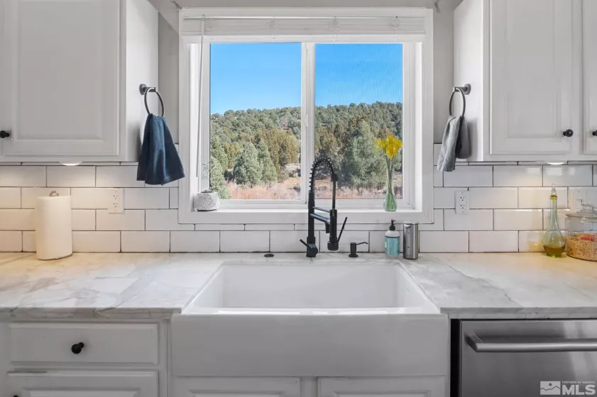 2241 Lousetown, Reno, Nevada 89521, 3 Bedrooms Bedrooms, ,3 BathroomsBathrooms,Residential,Residential,Lousetown,250003839