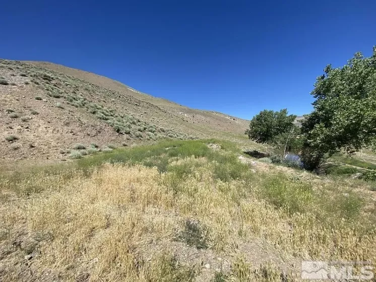 26 Valley View, Wellington, Nevada 89444, ,Land,Residential,Valley View,230007725