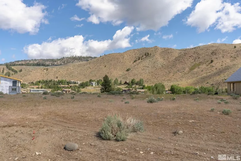 421 River Pines, Verdi, Nevada 89439, ,Land,Residential,River Pines,250006029