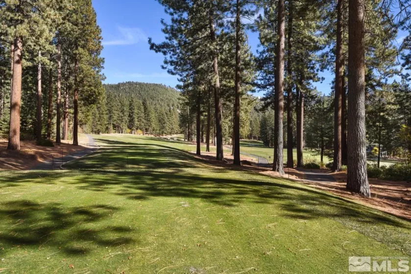 908 Harold, Incline Village, Nevada 89451, 2 Bedrooms Bedrooms, ,3 BathroomsBathrooms,Residential,Residential,Harold,240014313