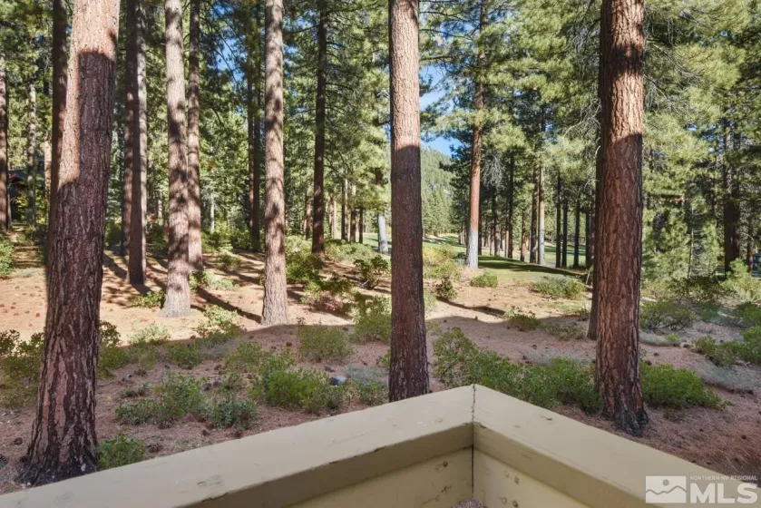 908 Harold, Incline Village, Nevada 89451, 2 Bedrooms Bedrooms, ,3 BathroomsBathrooms,Residential,Residential,Harold,240014313