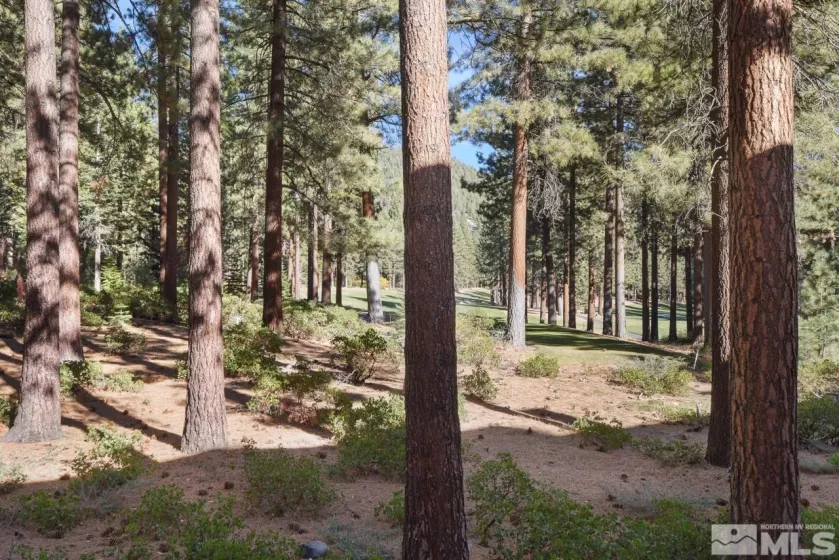 908 Harold, Incline Village, Nevada 89451, 2 Bedrooms Bedrooms, ,3 BathroomsBathrooms,Residential,Residential,Harold,240014313