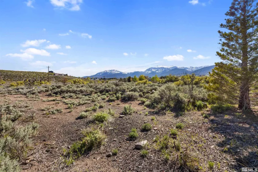 4775 Mount Rose, Reno, Nevada 89511, 4 Bedrooms Bedrooms, ,4 BathroomsBathrooms,Residential,Residential,Mount Rose,250005047